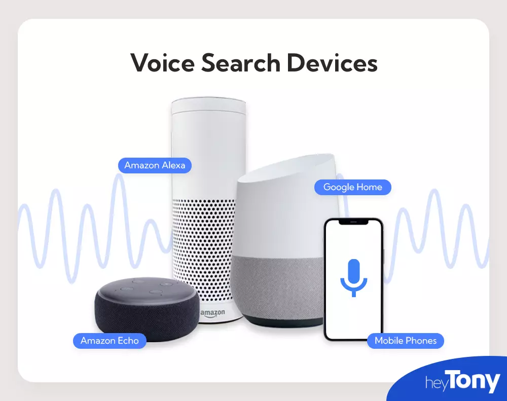 voice search devices