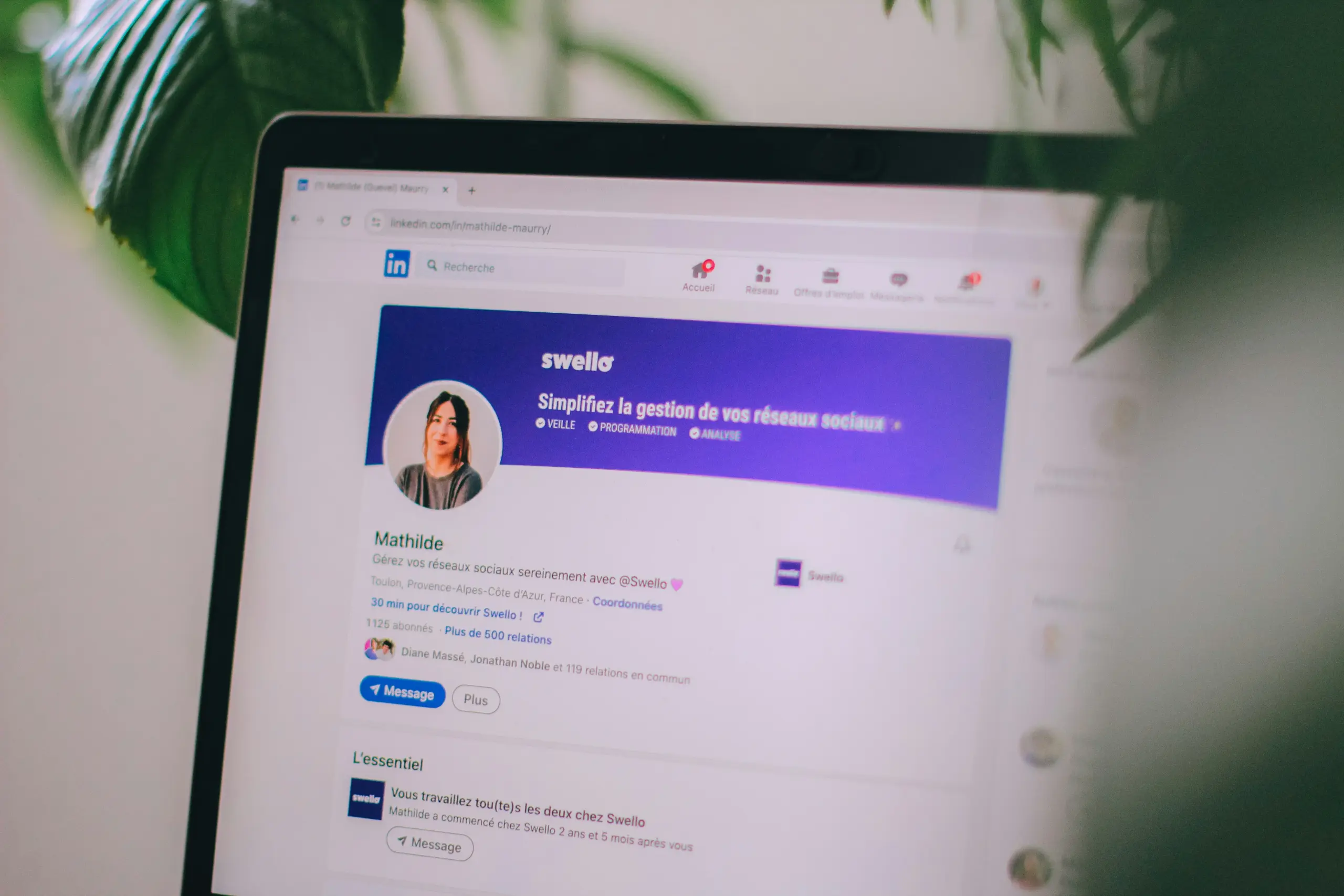 Photo of a laptop screen behind green leaves with a LinkedIn profile open on the browser